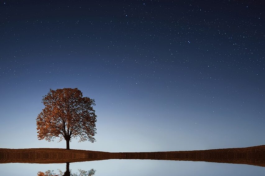 tree, lake, stars-838667.jpg